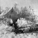Image for article titled These Dogs are Honorary Geologists for Their Early Exploration of Alaska